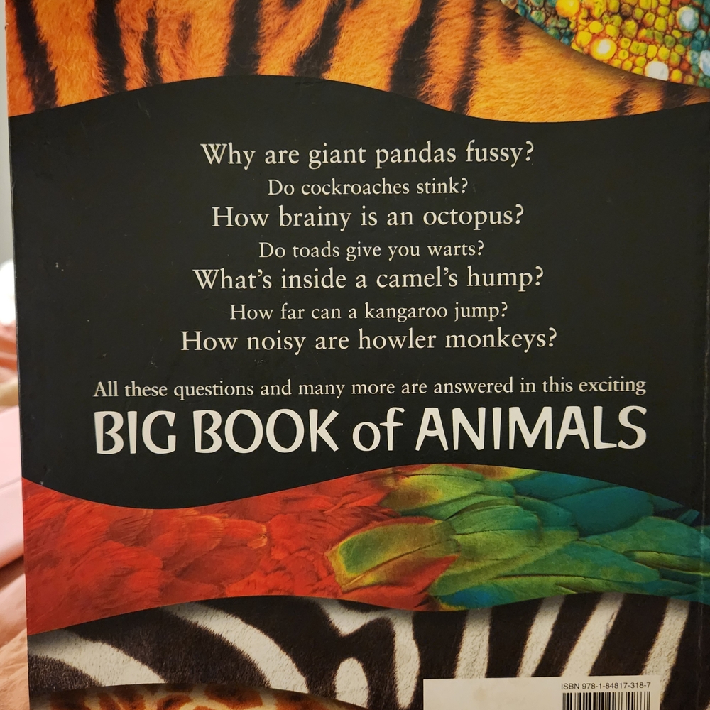 Big Book of Animals - Multicolor Kids Toy - Picture 3 of 4